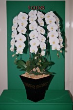 Winning Orchids, LLC